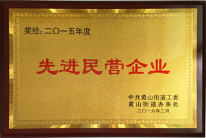 先進(jìn)民營(yíng)企業(yè)